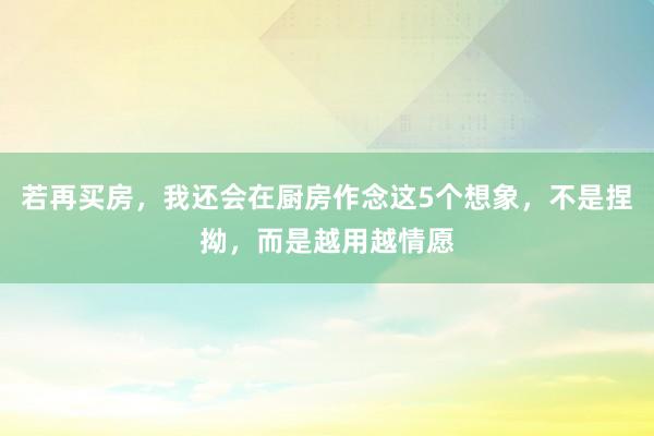 若再买房，我还会在厨房作念这5个想象，不是捏拗，而是越用越情愿