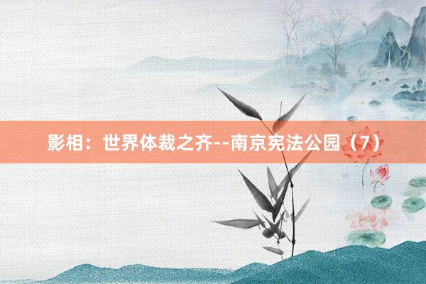 影相：世界体裁之齐--南京宪法公园（7）