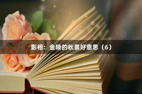 影相：金陵的秋景好意思（6）