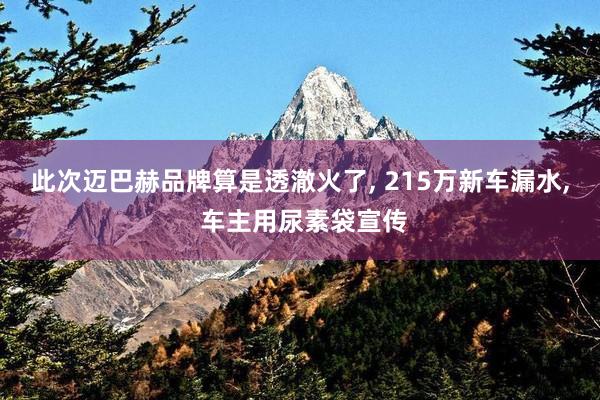 此次迈巴赫品牌算是透澈火了, 215万新车漏水, 车主用尿素袋宣传