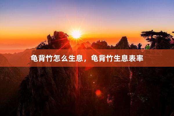 龟背竹怎么生息，龟背竹生息表率