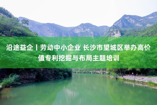沿途益企丨劳动中小企业 长沙市望城区举办高价值专利挖掘与布局主题培训