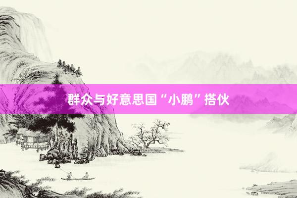群众与好意思国“小鹏”搭伙