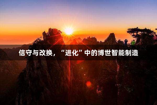 信守与改换，“进化”中的博世智能制造