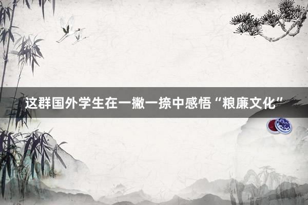 这群国外学生在一撇一捺中感悟“粮廉文化”