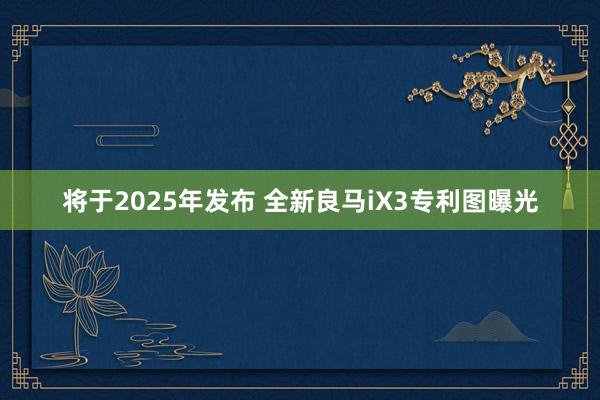 将于2025年发布 全新良马iX3专利图曝光