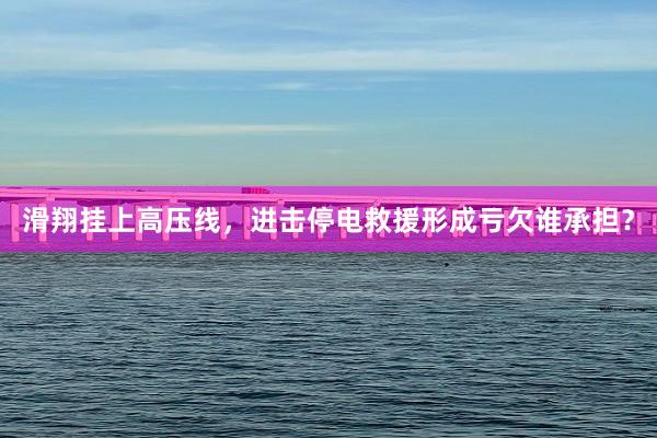 滑翔挂上高压线，进击停电救援形成亏欠谁承担？