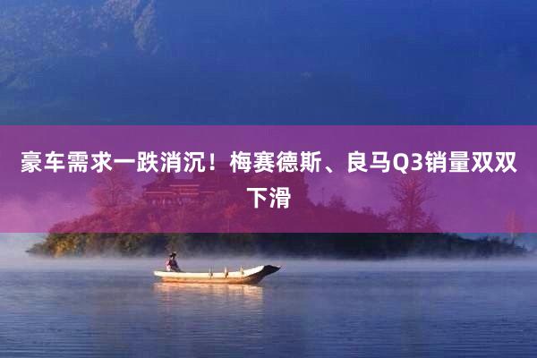 豪车需求一跌消沉！梅赛德斯、良马Q3销量双双下滑