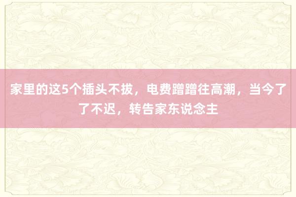家里的这5个插头不拔，电费蹭蹭往高潮，当今了了不迟，转告家东说念主